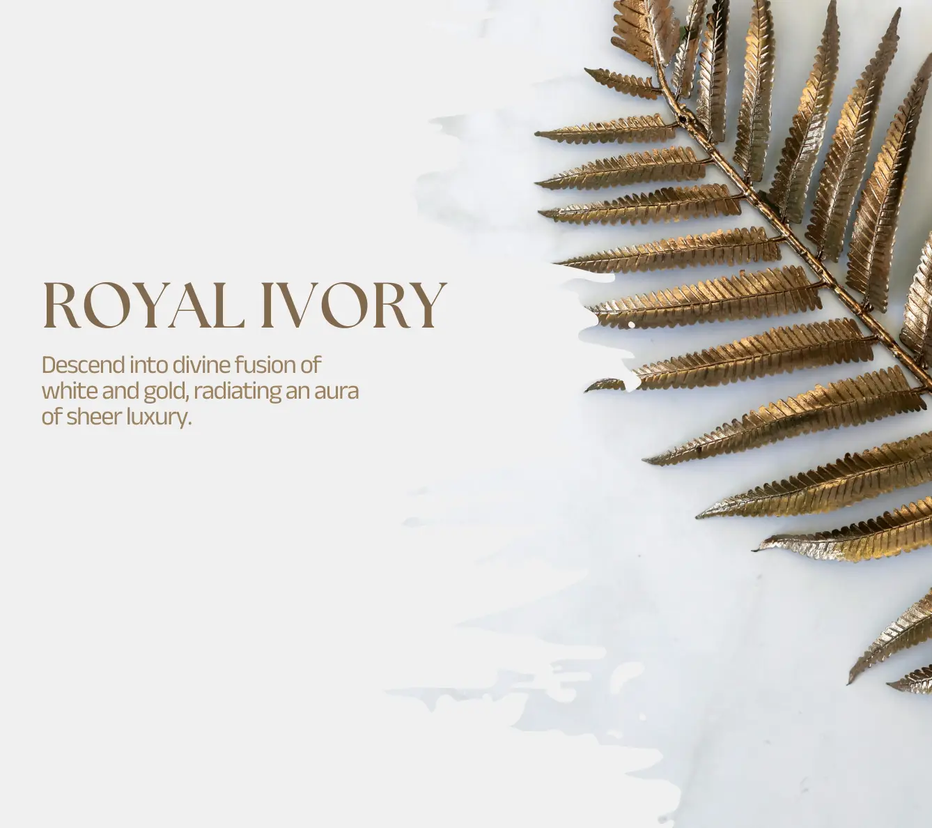 royal-ivory-banner-mobile